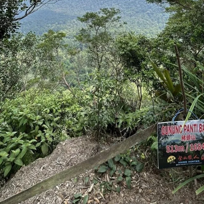 Gunung Panti Barat — foto sebenar 3 (crop)