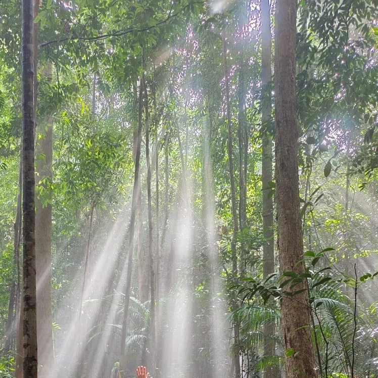 Gunung Panti Barat — foto sebenar 4 (crop)