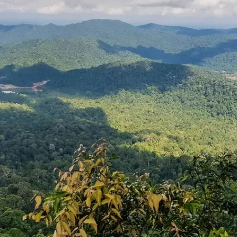 Gunung Panti — foto sebenar 3 (crop)