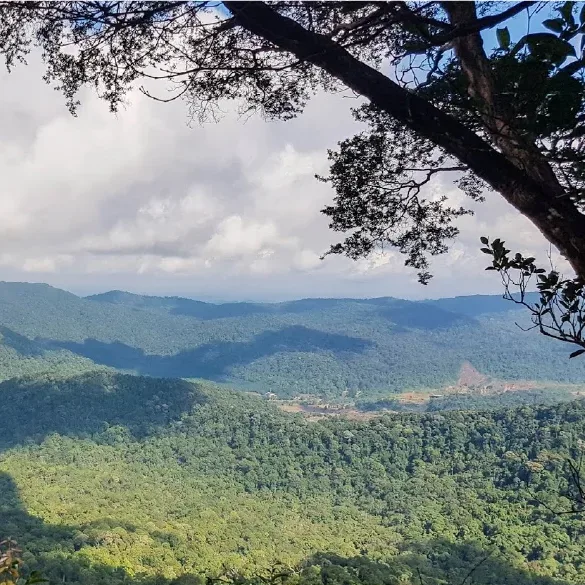 Gunung Panti — foto sebenar 4 (crop)