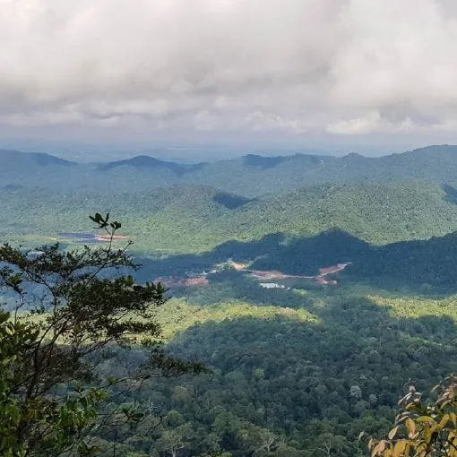 Gunung Panti — foto sebenar 5 (crop)