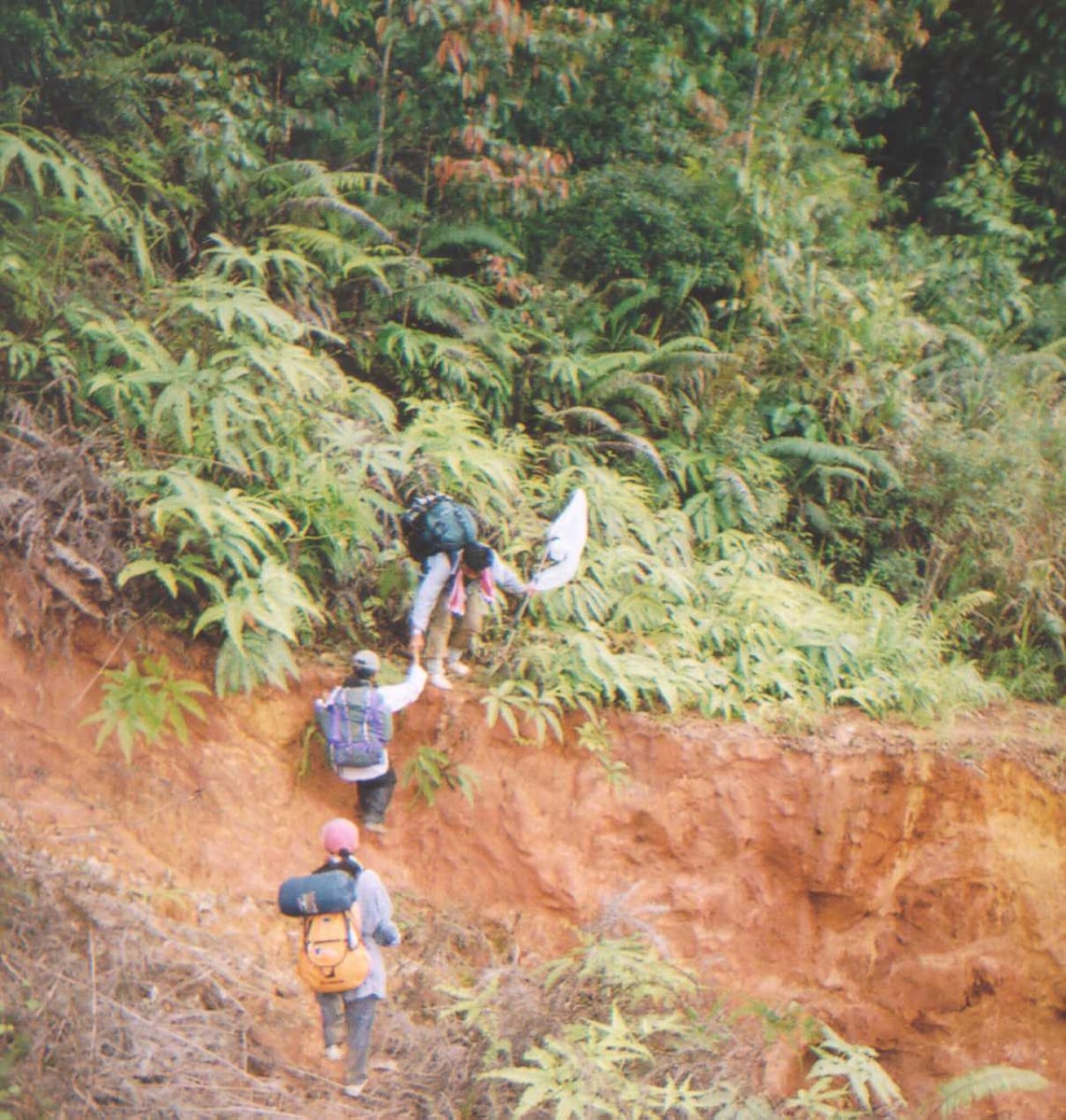 Gambar 3 Gunung Pueh National Park