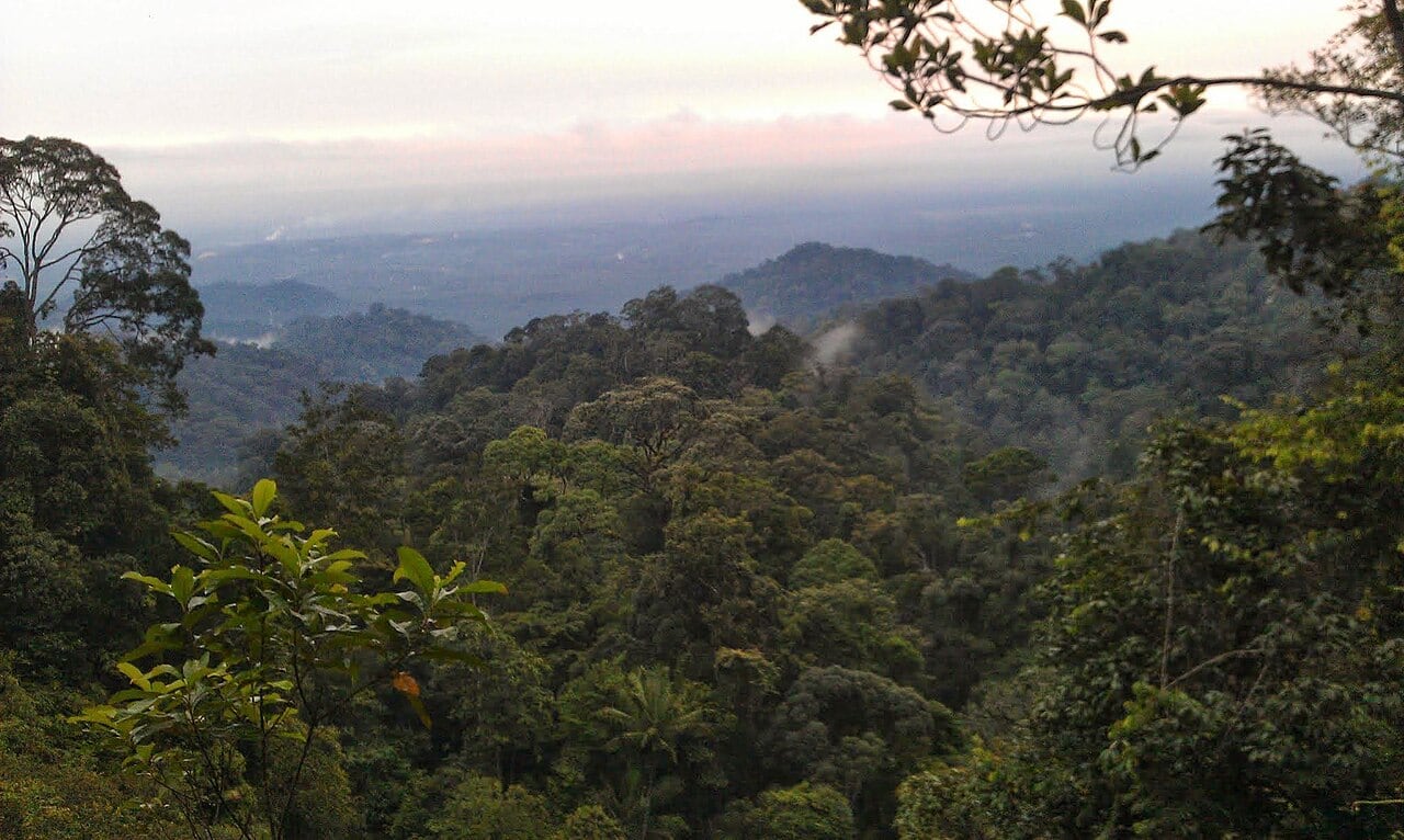 Gambar Gunung Pulai Recreational Forest