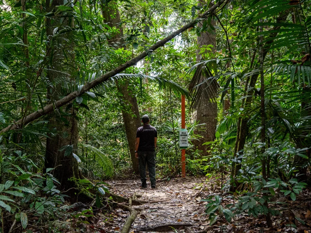 Taman Eko Rimba Gunung Pulai — foto sebenar 1