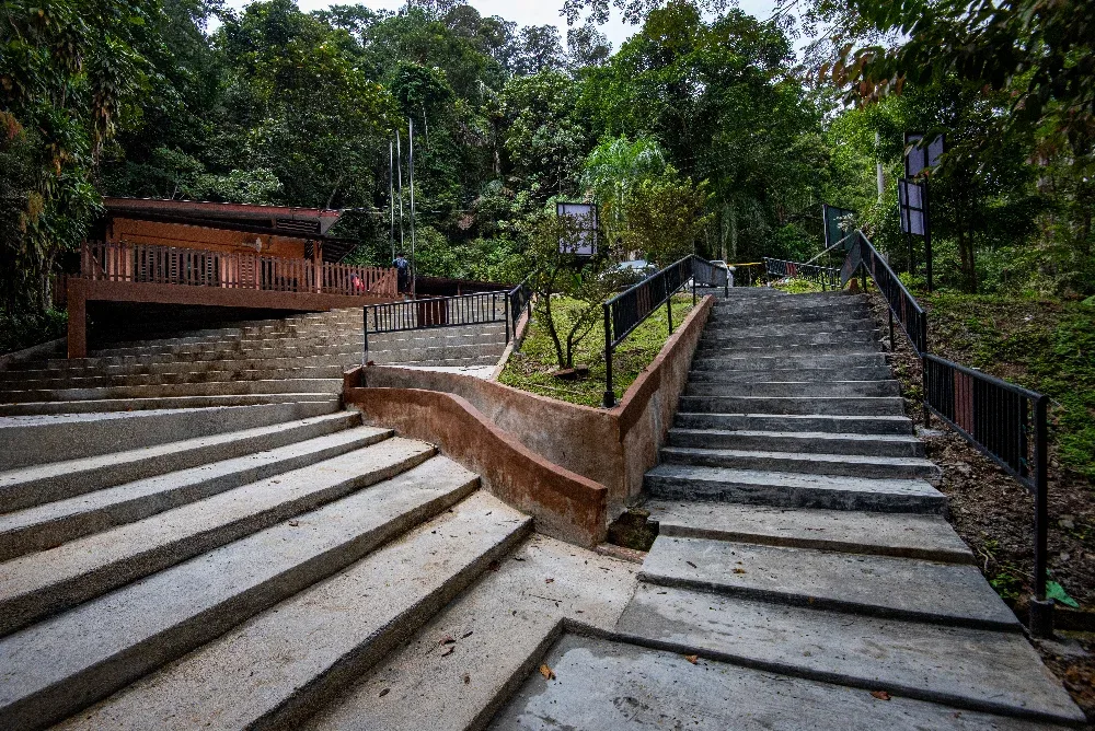 Taman Eko Rimba Gunung Pulai — foto sebenar 2