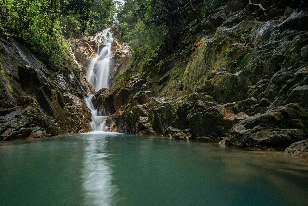 Taman Eko Rimba Gunung Pulai — foto sebenar 3
