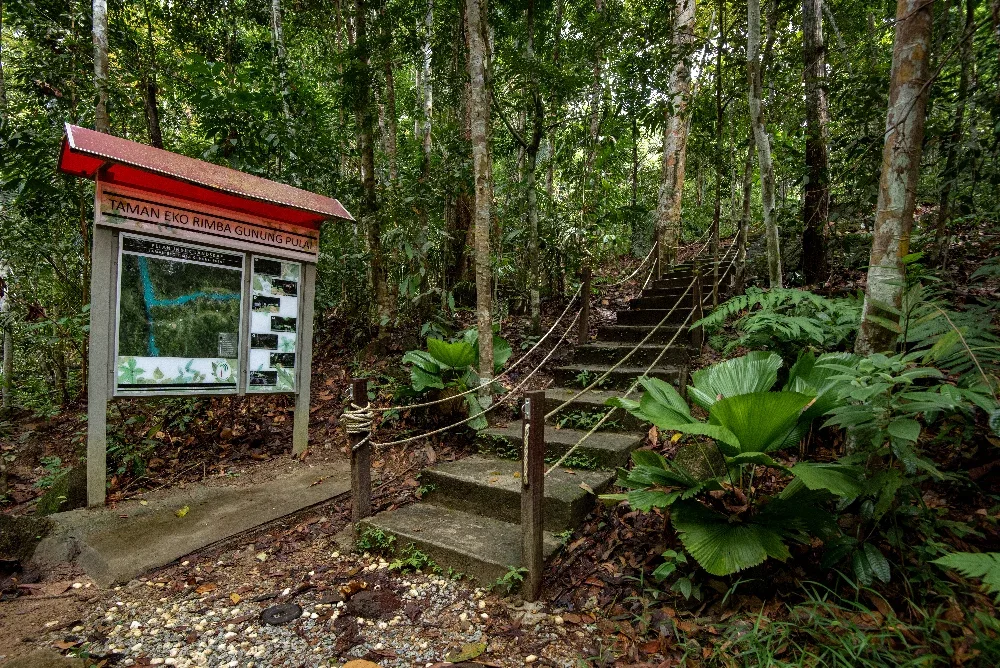 Taman Eko Rimba Gunung Pulai — foto sebenar 4