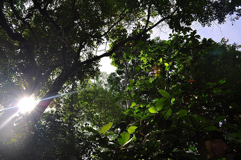 Gambar Gunung Raya Langkawi