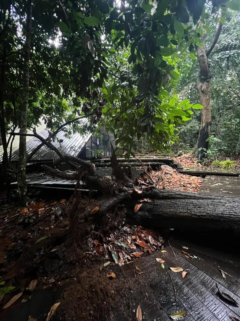 Hill & Heal — foto sebenar 5