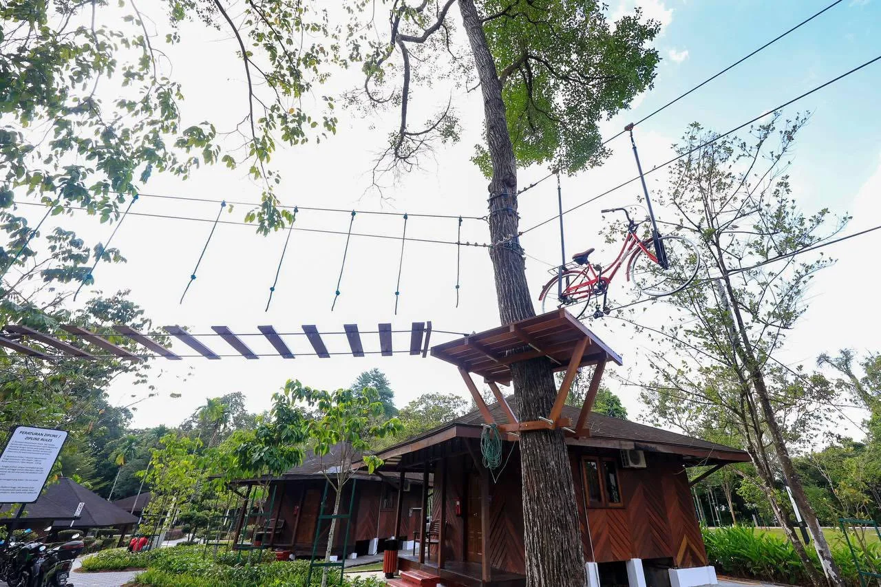 Hutan Bandar MBJB — foto sebenar 3