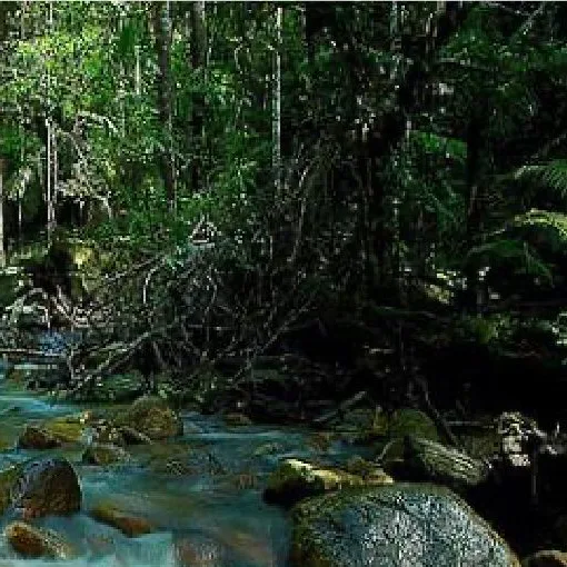 Gambar Taman Eko Rimba Sungai Bantang