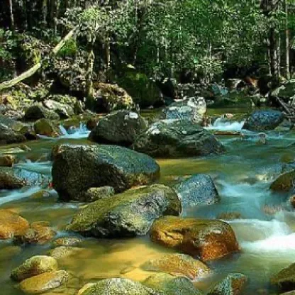 Hutan Lipur Sungai Bantang — foto sebenar 2 (crop)