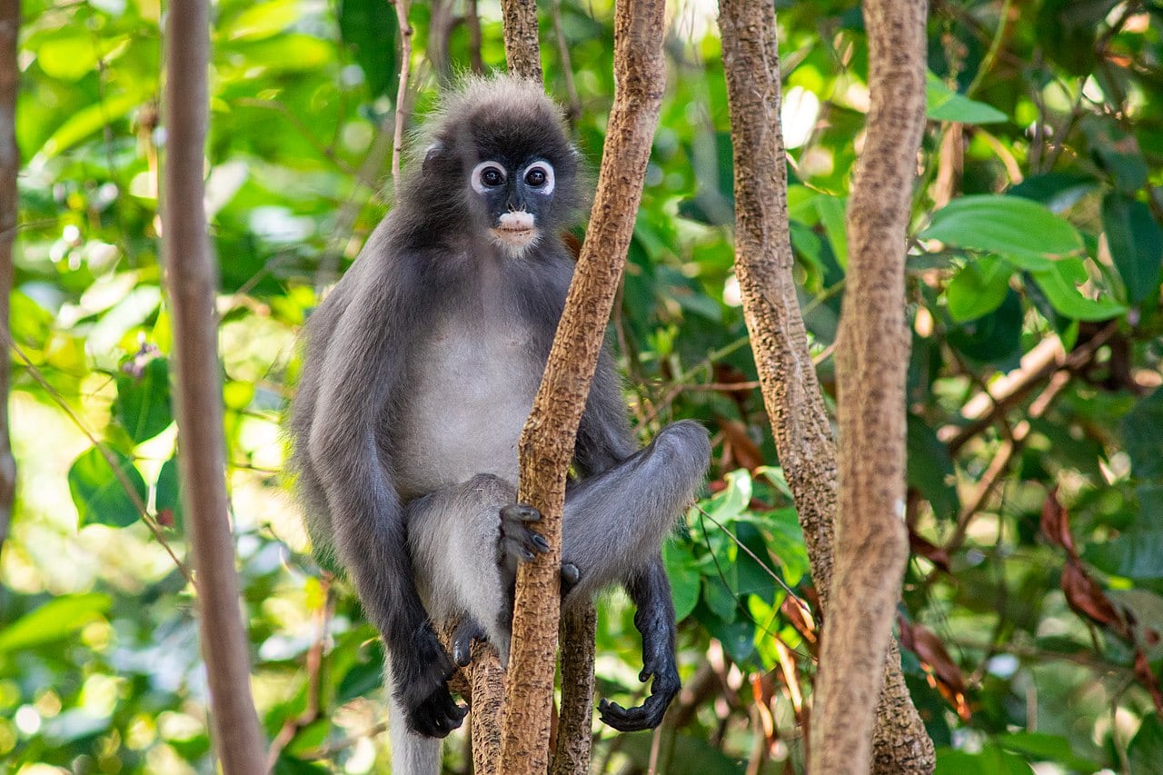 Gambar 3 Hutan Rekreasi Tanjung Tuan