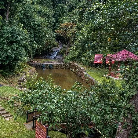 Gambar Hutan Taman Negeri Ayer Hitam Utara