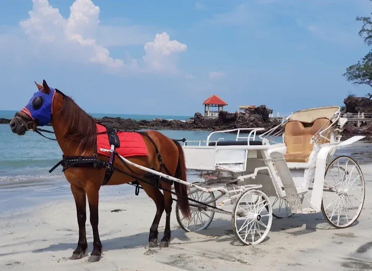 JDT Horse Carriage — foto sebenar 7