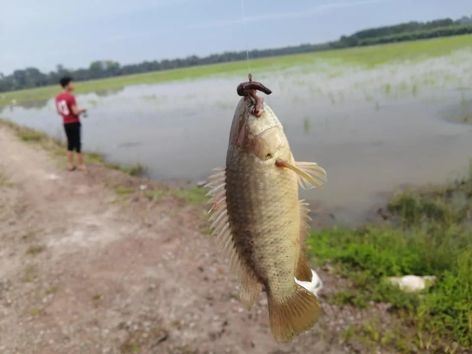 Kahang Adventures & Eco Camp — foto sebenar 6