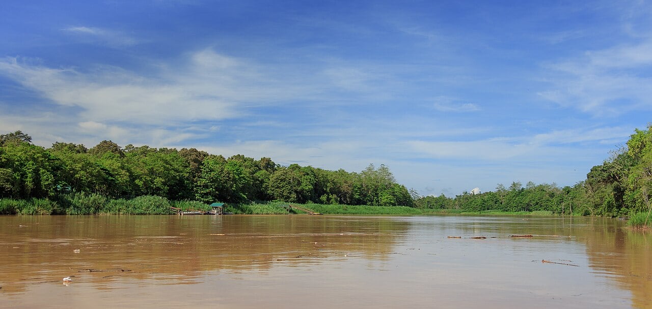 Gambar Kinabatangan Wildlife Sanctuary