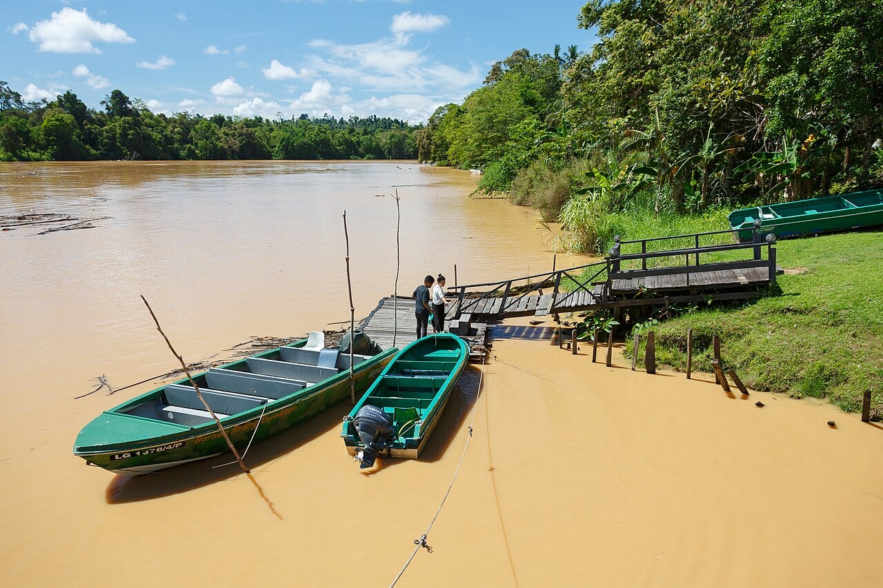 Gambar 3 Kinabatangan Wildlife Sanctuary