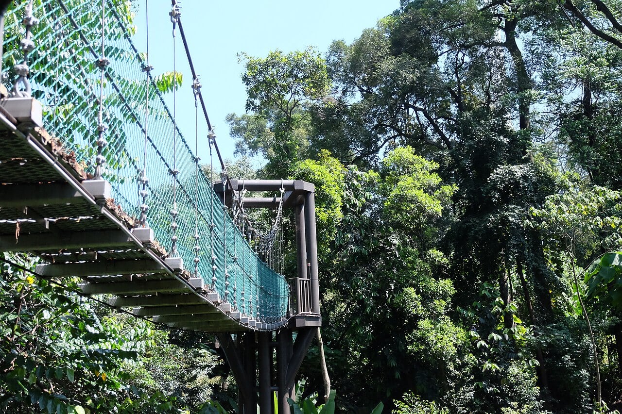 Gambar 3 KL Forest Eco Park Bukit Nanas