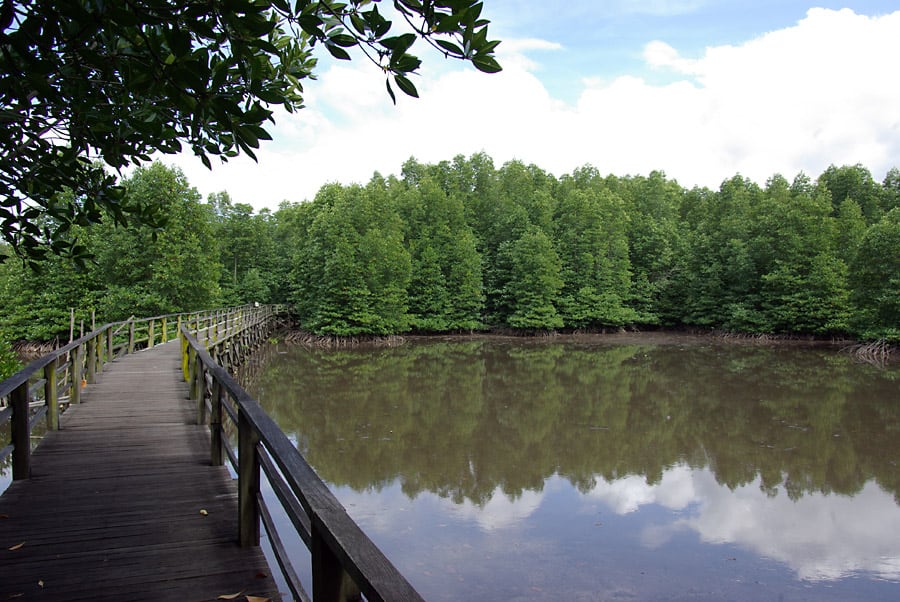 Gambar Kota Kinabalu Wetlands