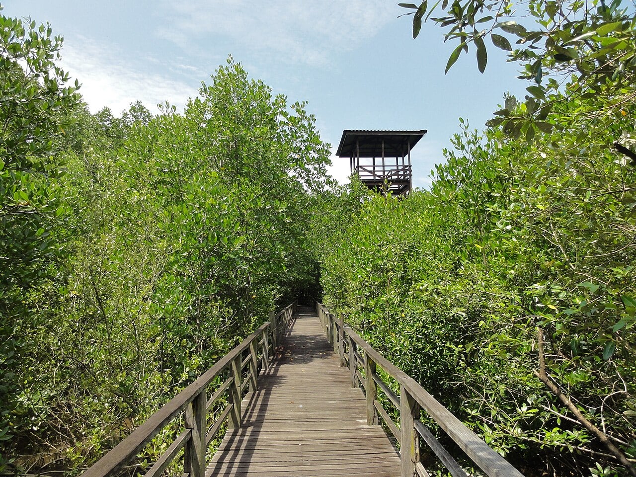 Gambar 2 Kota Kinabalu Wetlands