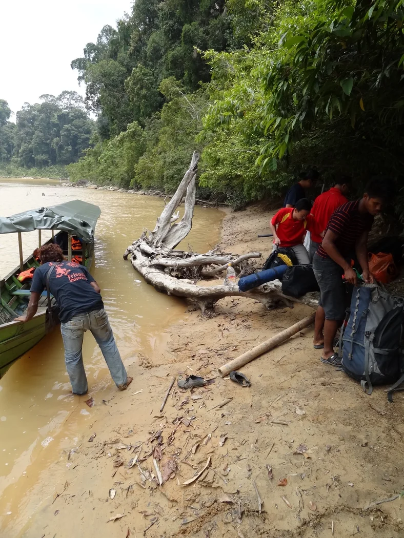 Kuala Jasin Campsite — foto sebenar 5