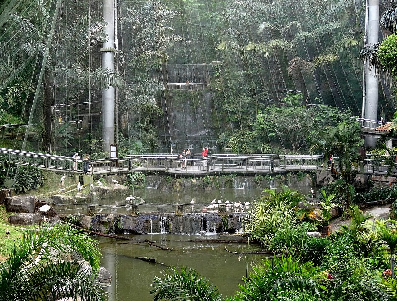 Gambar 2 Kuala Lumpur Bird Park