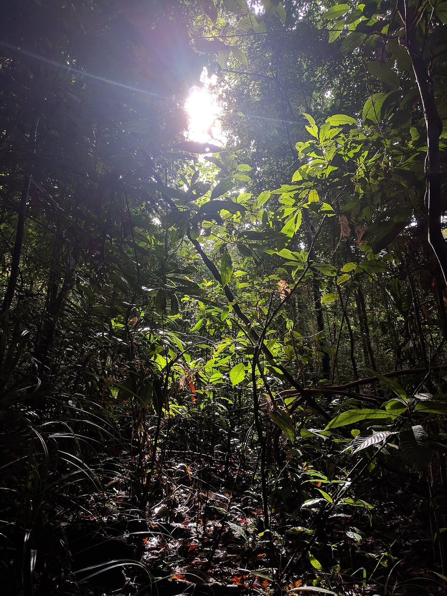 Gambar Kubah National Park