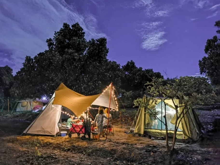 Labis Sunrise Farm — foto sebenar 2