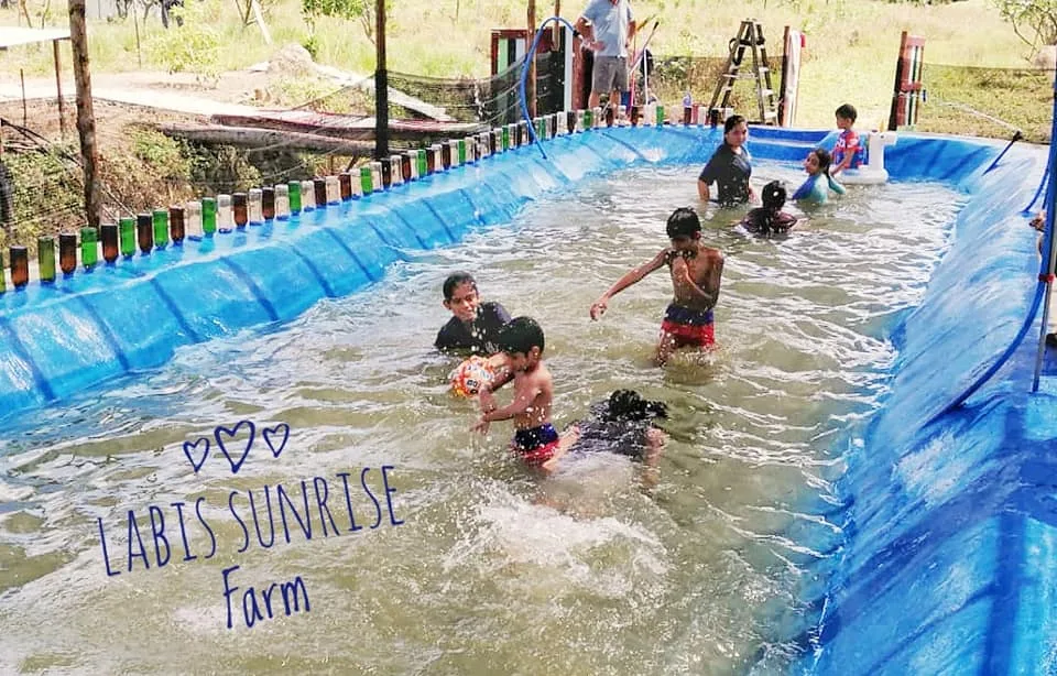Labis Sunrise Farm — foto sebenar 3