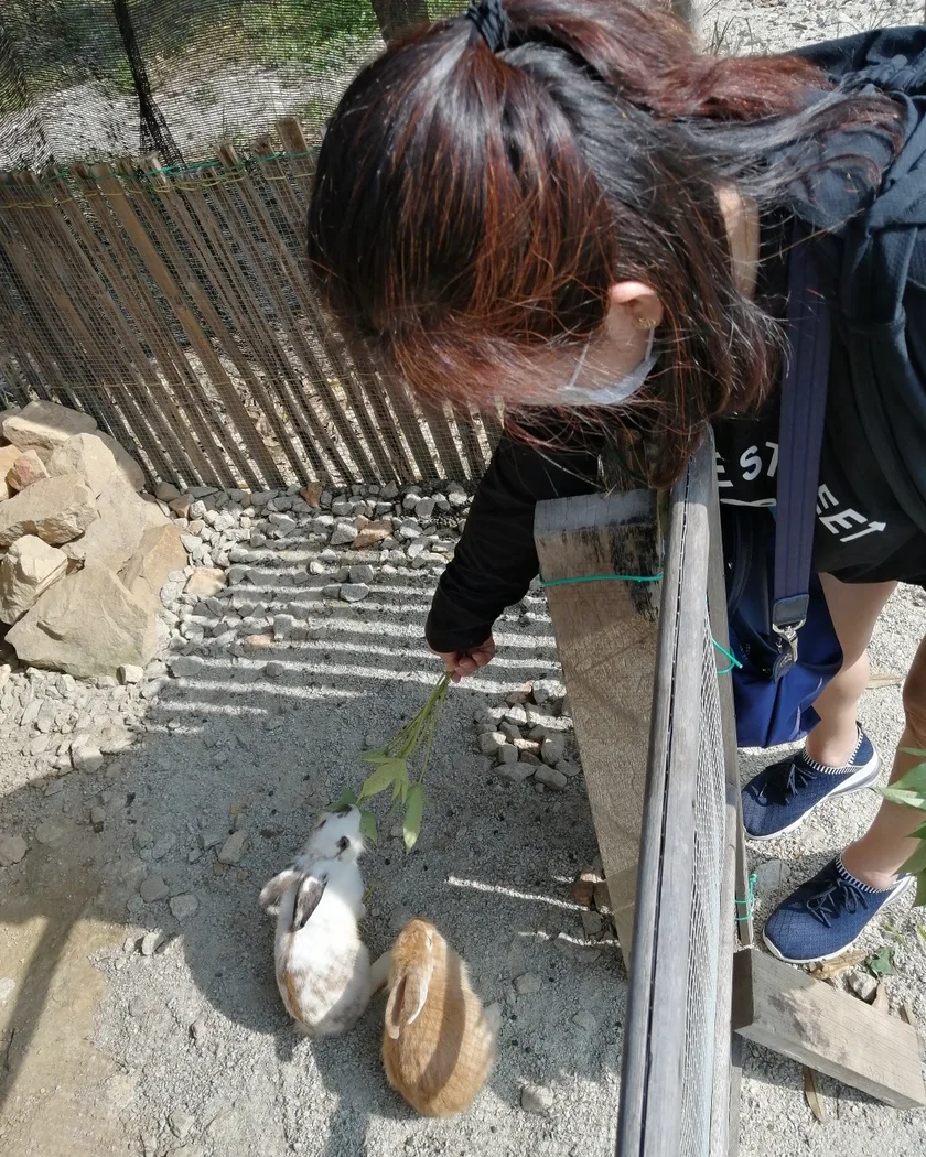 Labis Sunrise Farm — foto sebenar 5