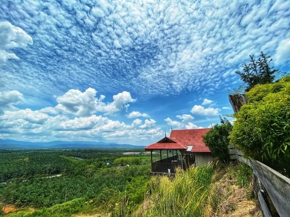 Labis Sunrise Farm — foto sebenar 6