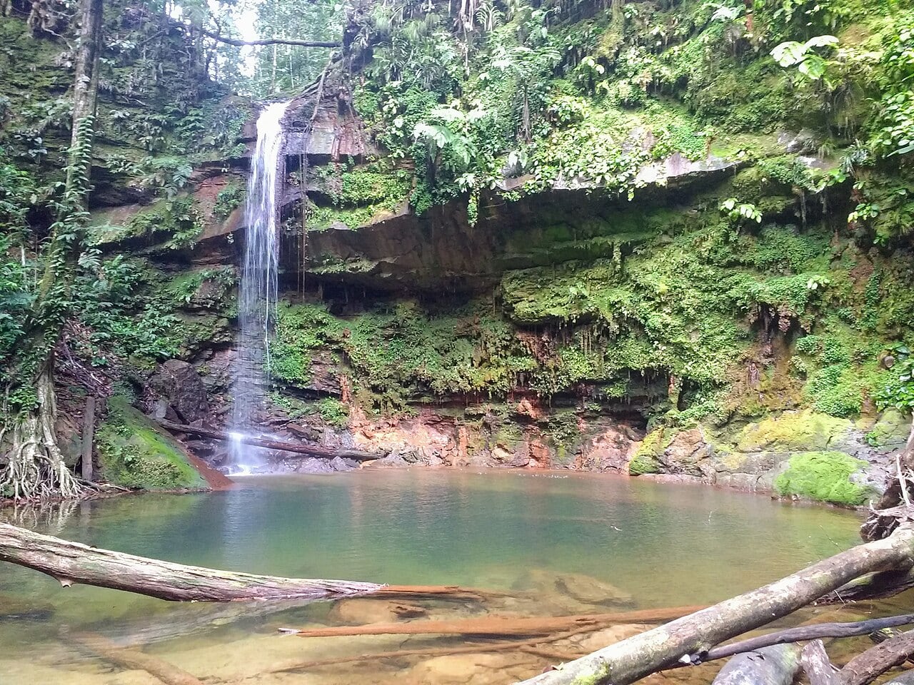 Gambar 2 Lambir Hills National Park