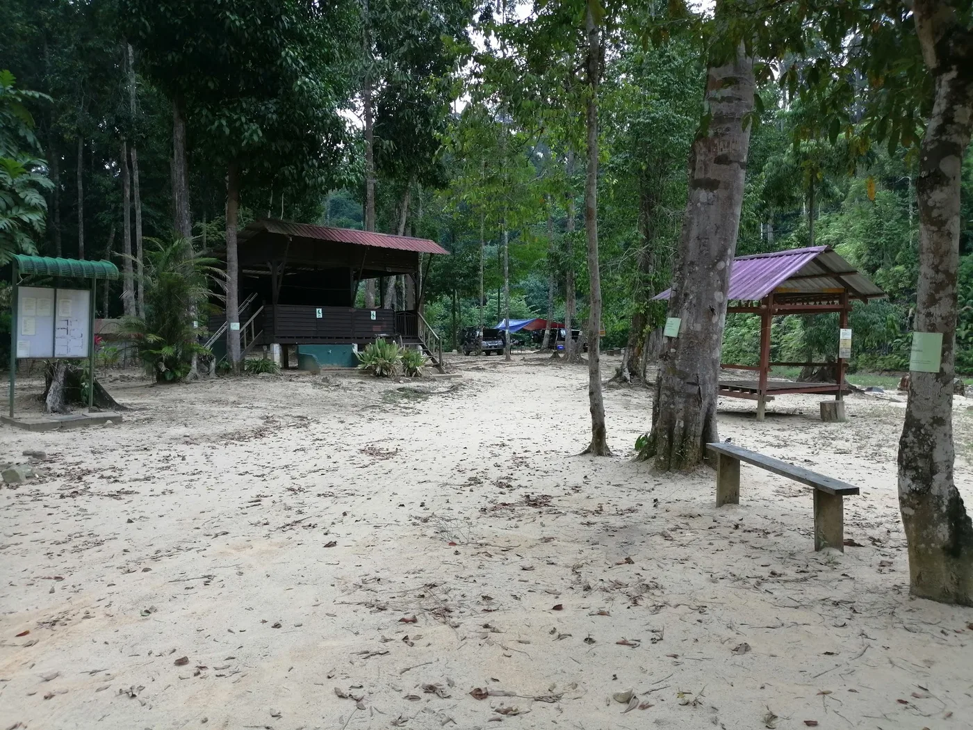 Lubuk Merekek, Taman Negara Endau-Rompin — foto sebenar 4