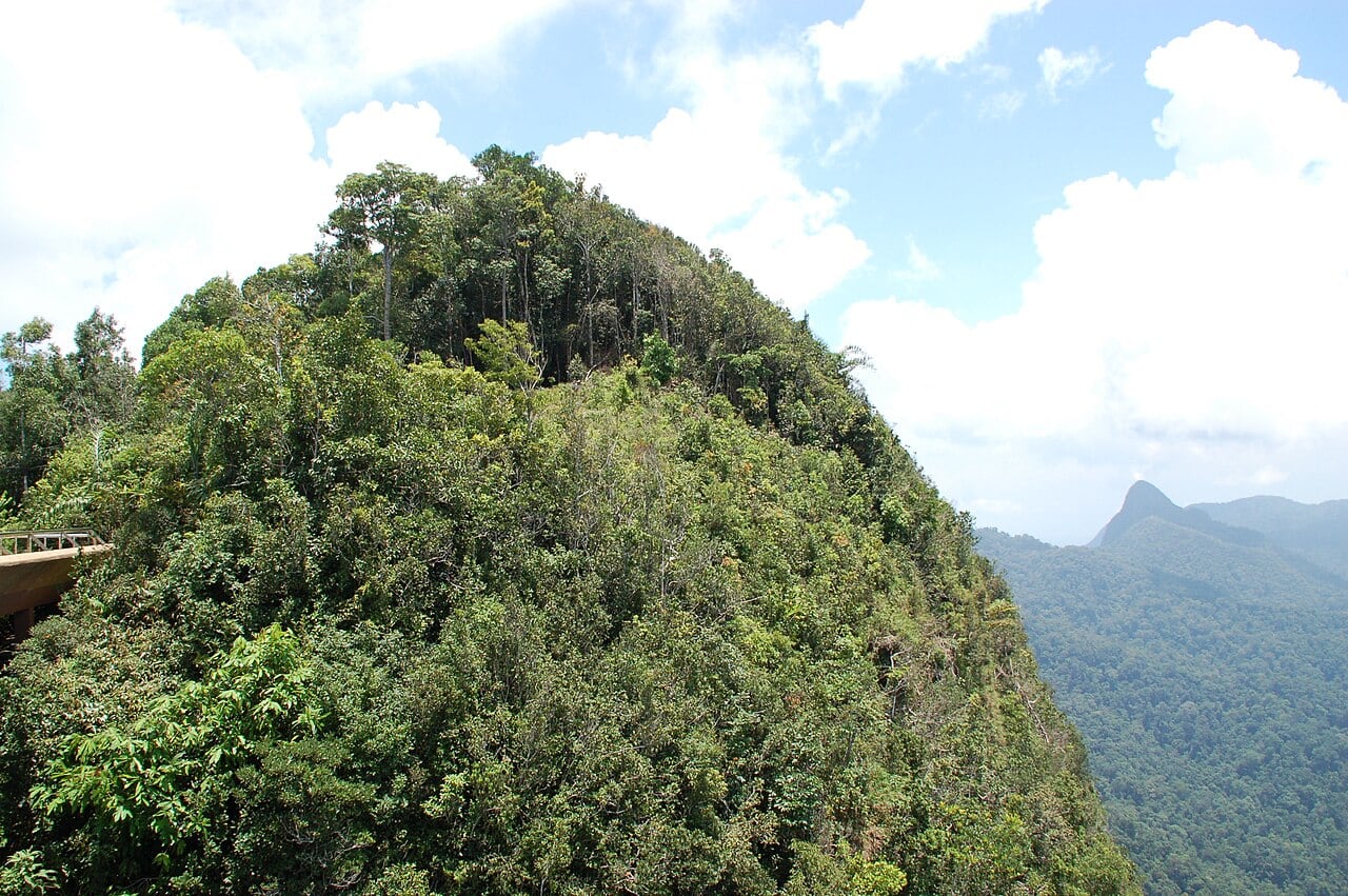 Gambar 3 Machinchang Cambrian Geoforest Park