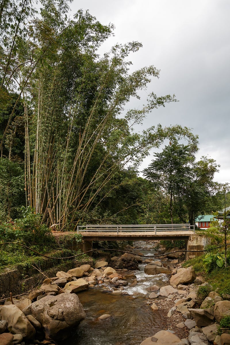 Gambar Mahua Substation / Mahua Waterfall