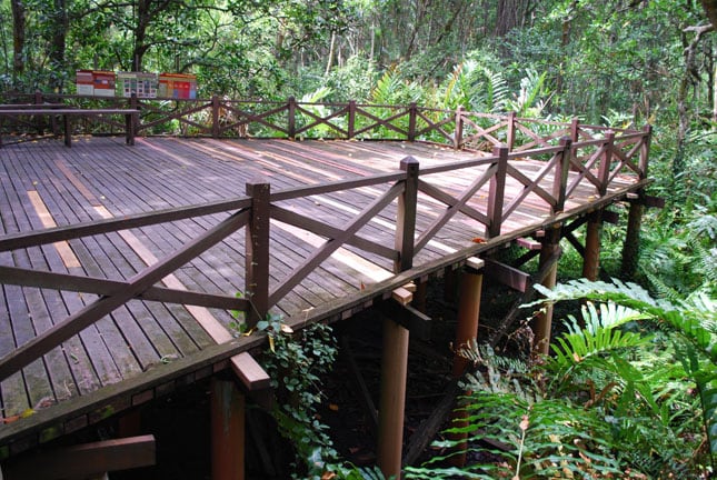 Gambar 2 Matang Mangrove Forest Reserve