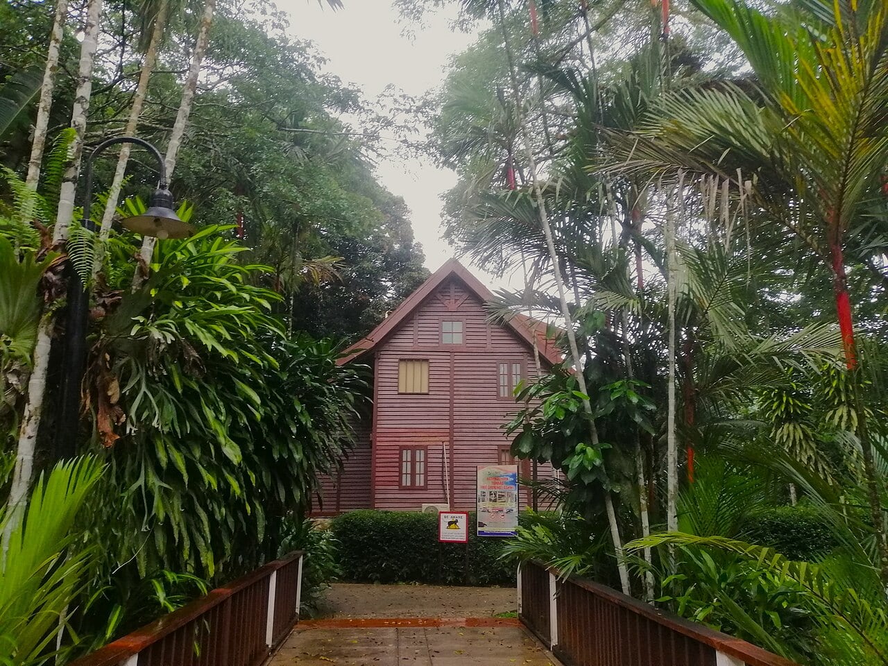 Gambar Mutiara Taman Negara