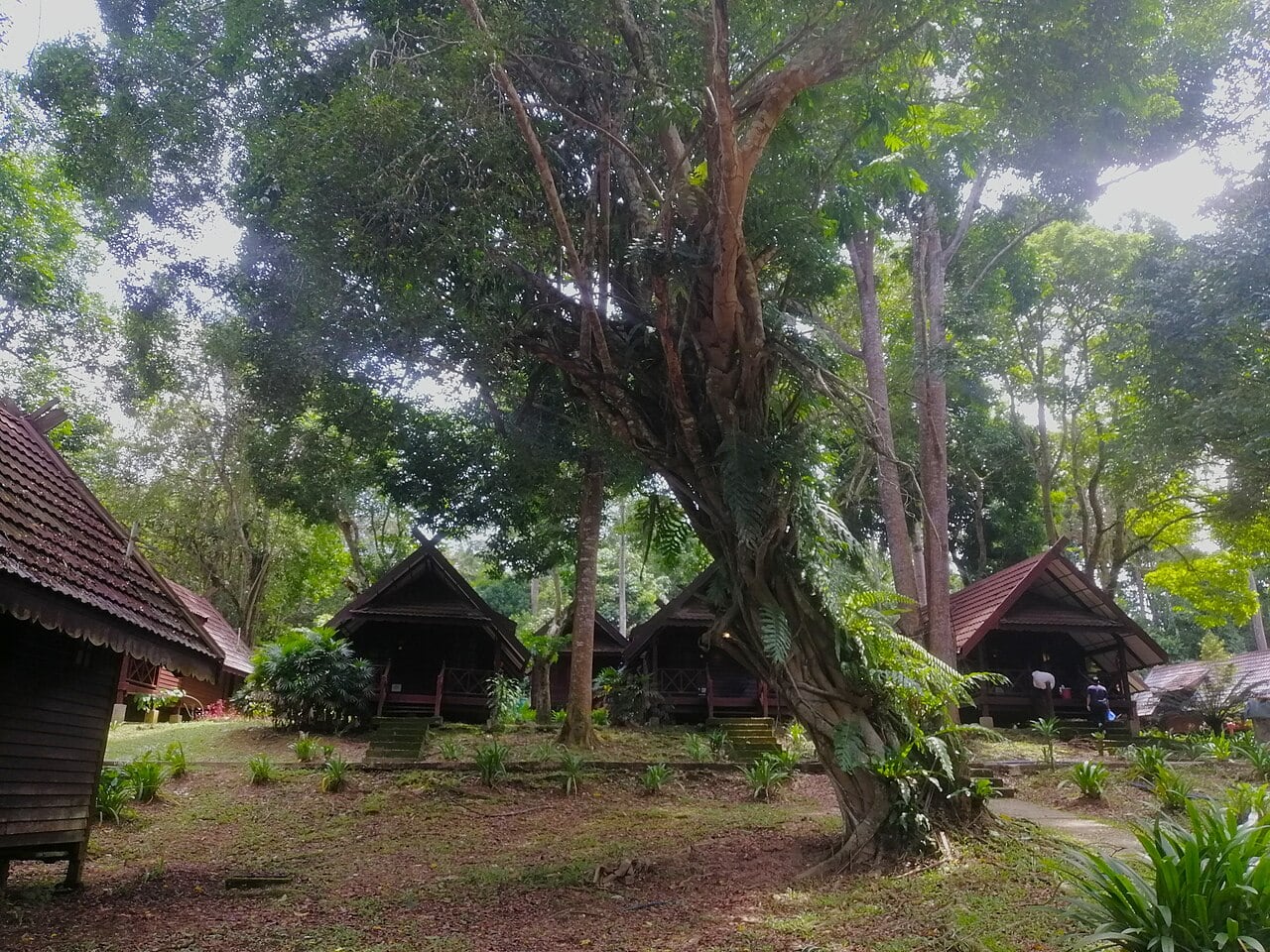 Gambar 2 Mutiara Taman Negara