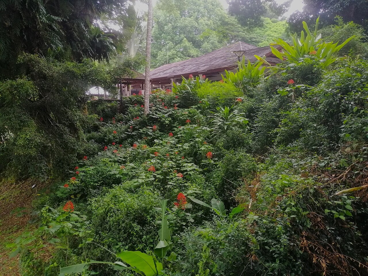Gambar 3 Mutiara Taman Negara
