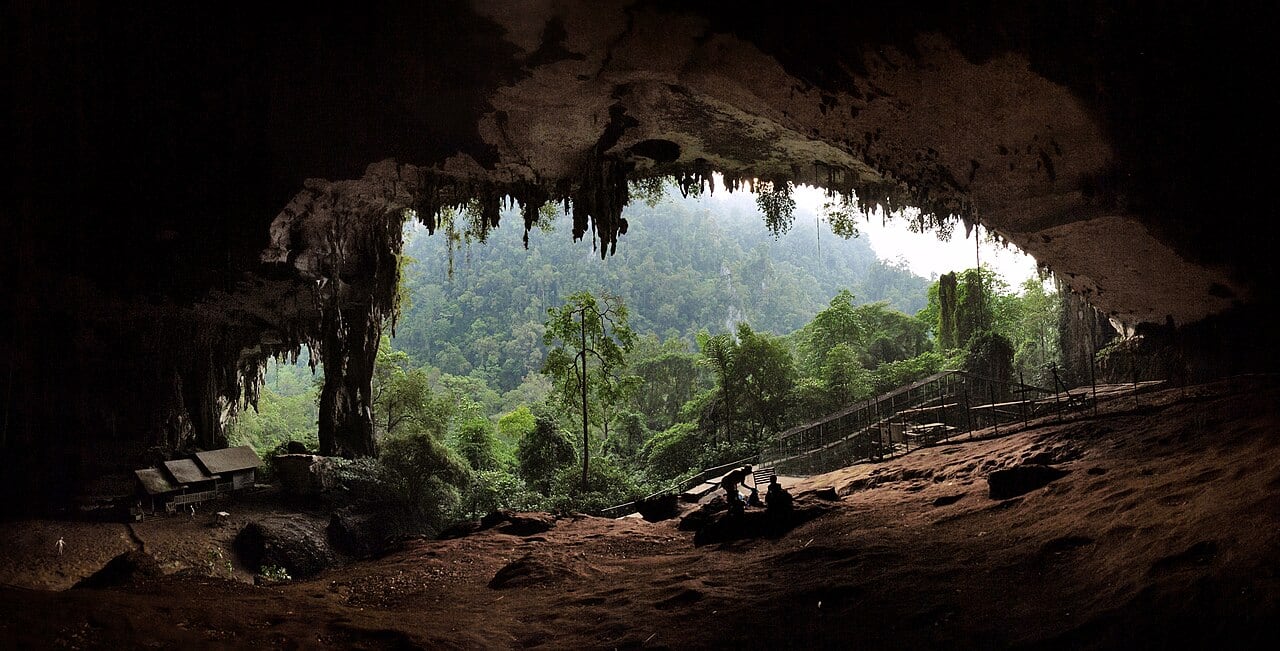 Gambar Niah National Park