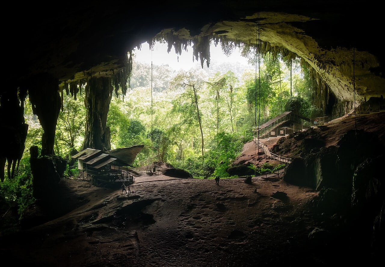 Gambar 3 Niah National Park