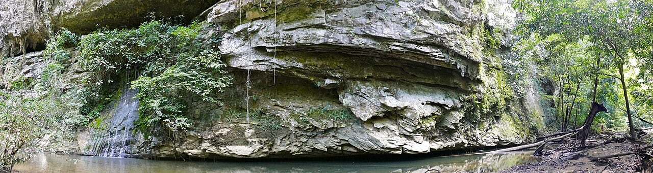 Gambar 2 Paku Waterfall Mulu