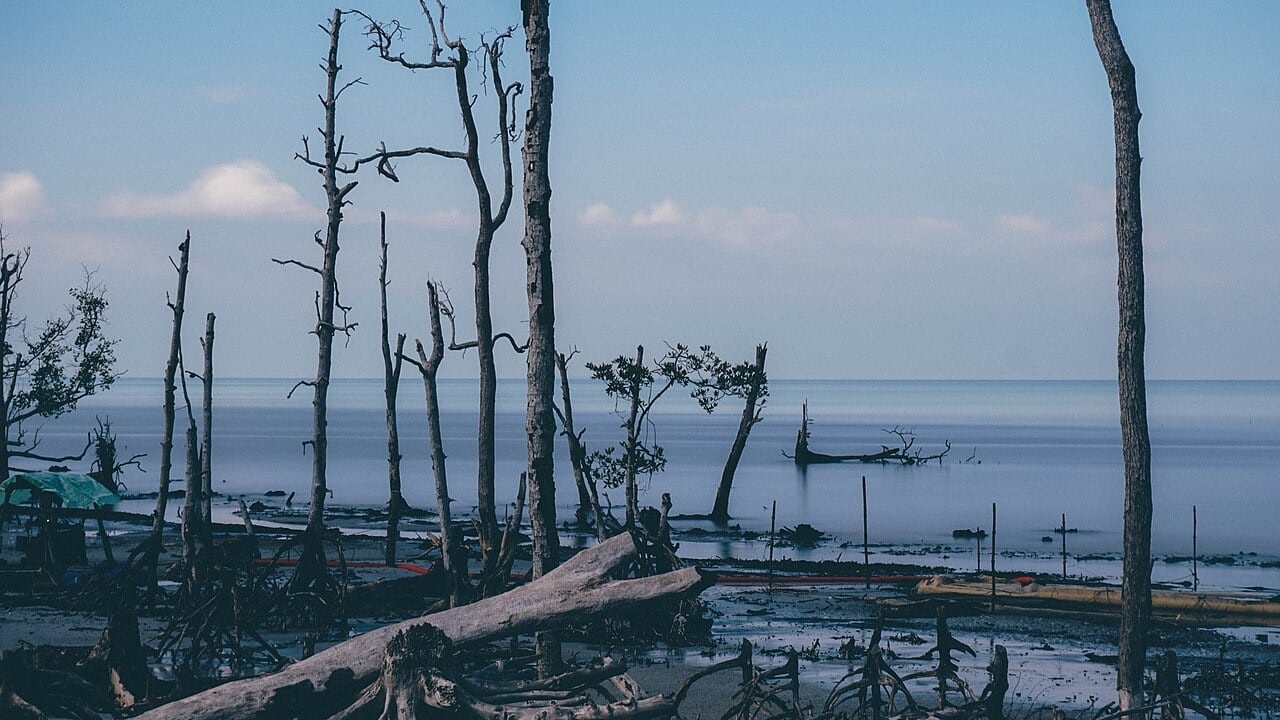 Gambar 2 Pantai Kelanang