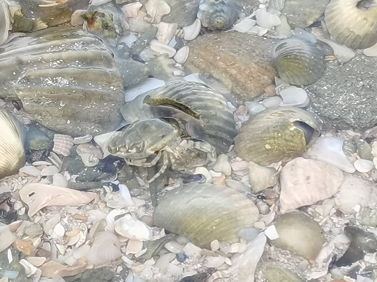 Gambar 3 Pantai Redang Sekinchan