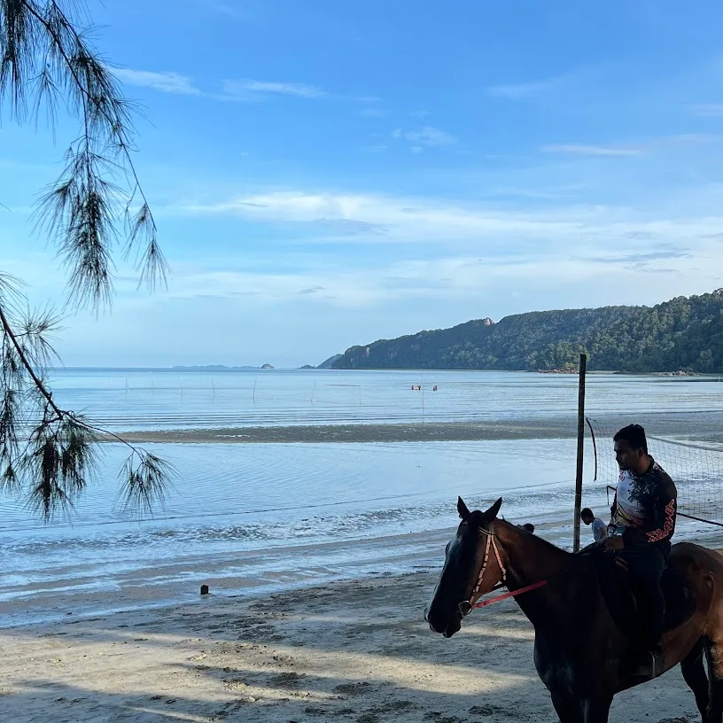Pantai Teluk Gorek — foto sebenar 5 (crop)