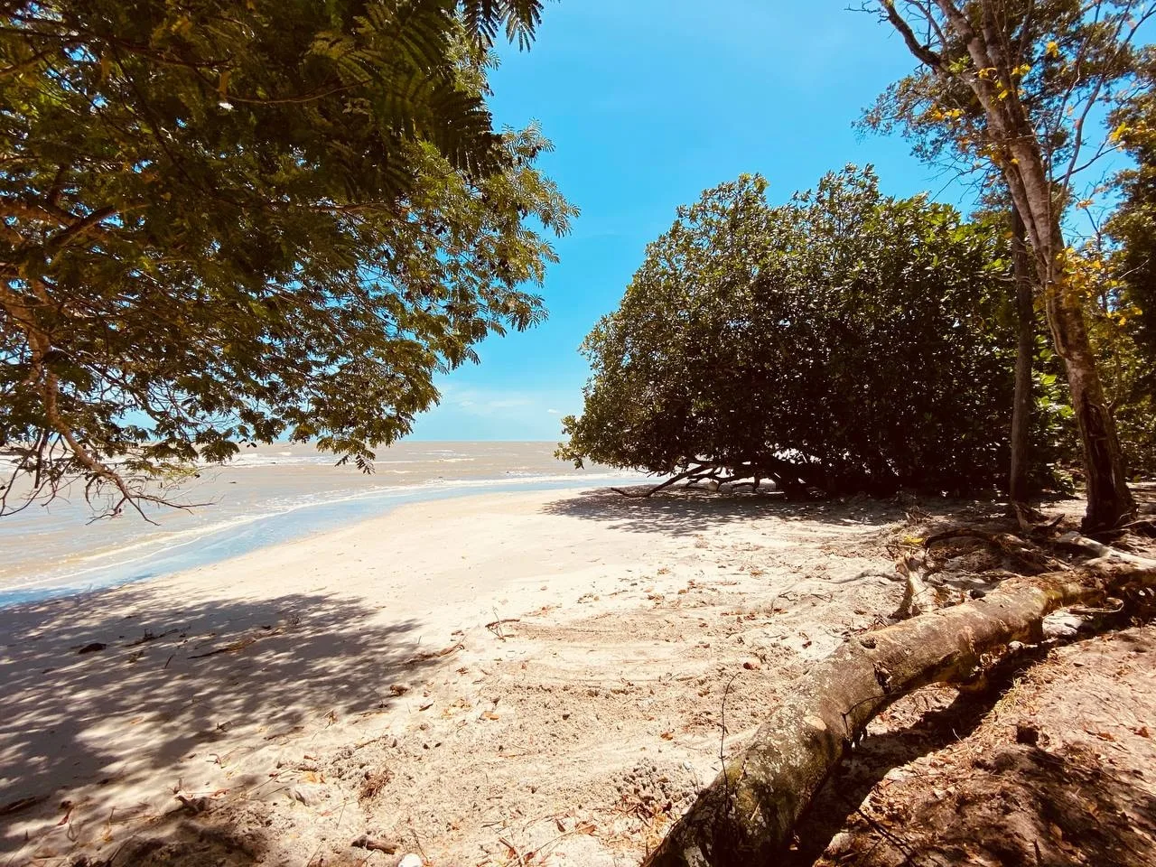 Gambar Pemberton Campground