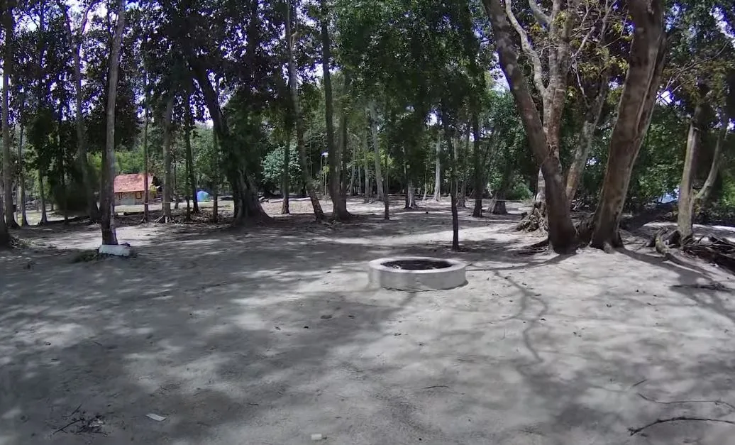 Pemberton Campground — foto sebenar 2