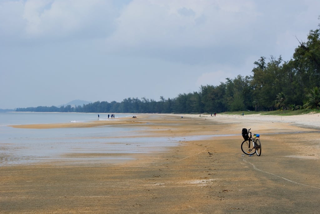 Gambar Pindo Sea Forest Cherating
