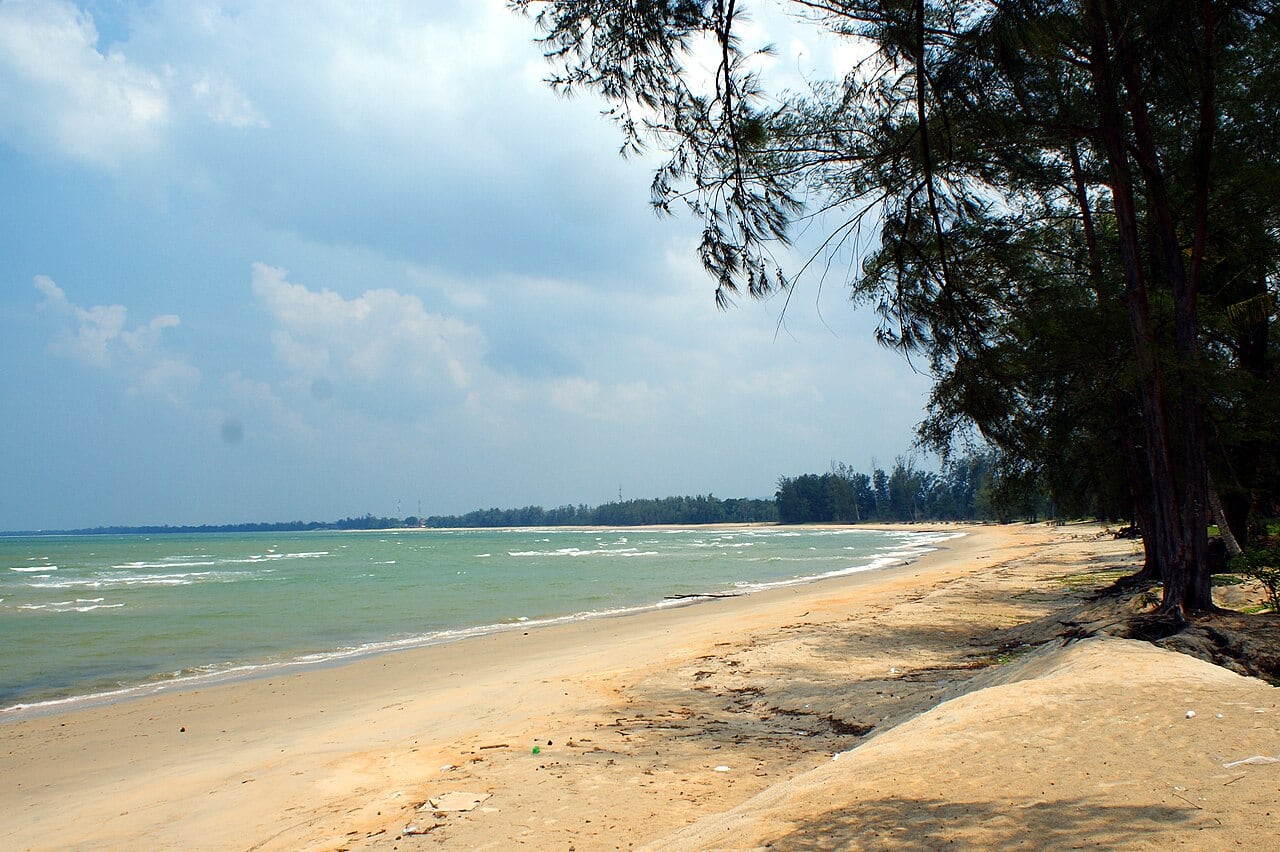 Gambar 3 Pindo Sea Forest Cherating
